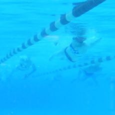 Erwachsenenschwimmen Herbst 2026 Fortgeschrittene Freitag 20:00 bis 21:00 Uhr